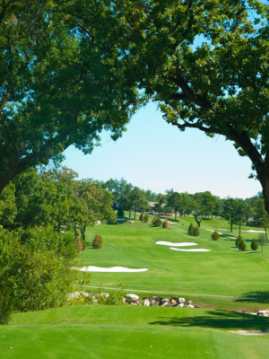 Stevens Park Newsflash