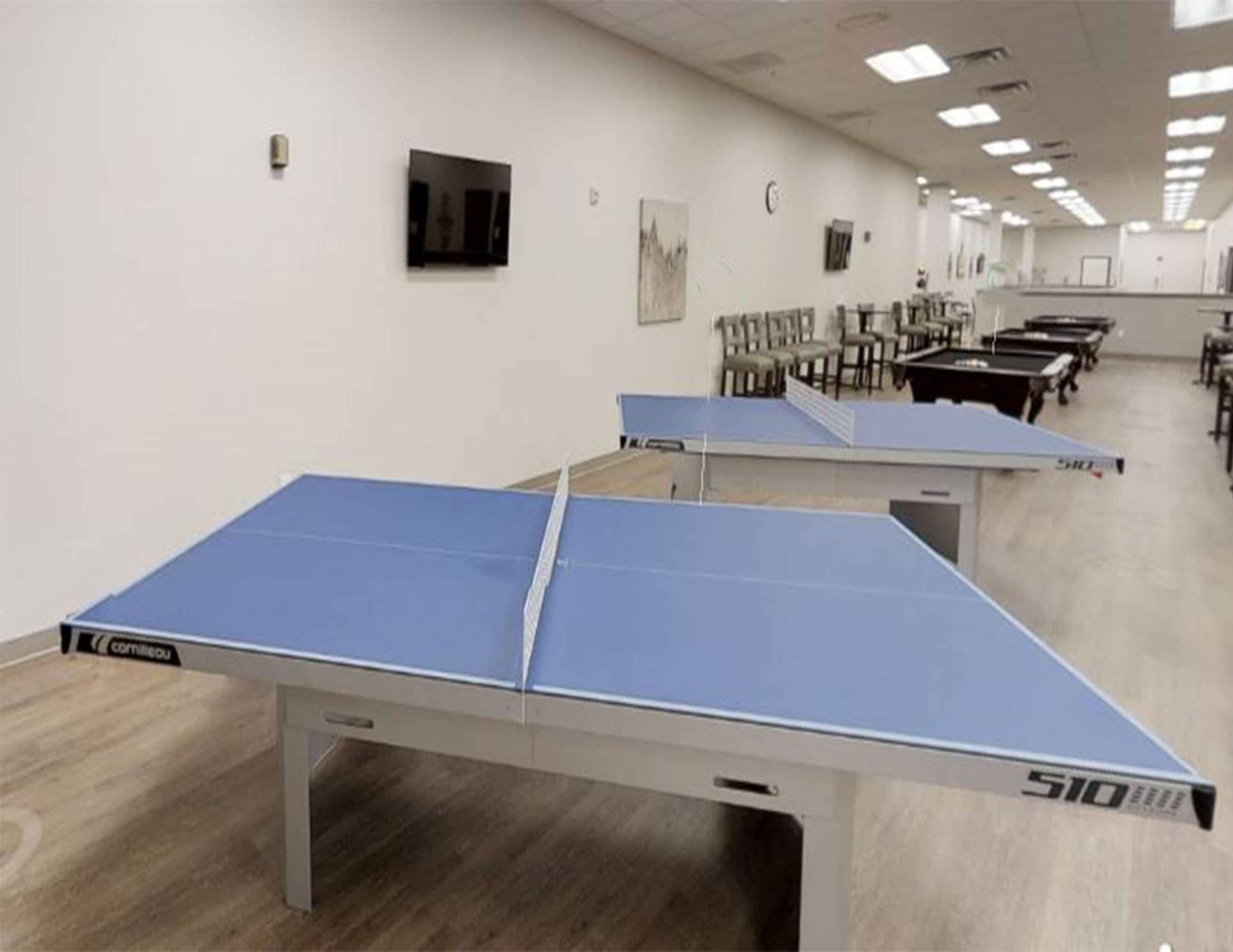 Wellmed PingPong and Pool